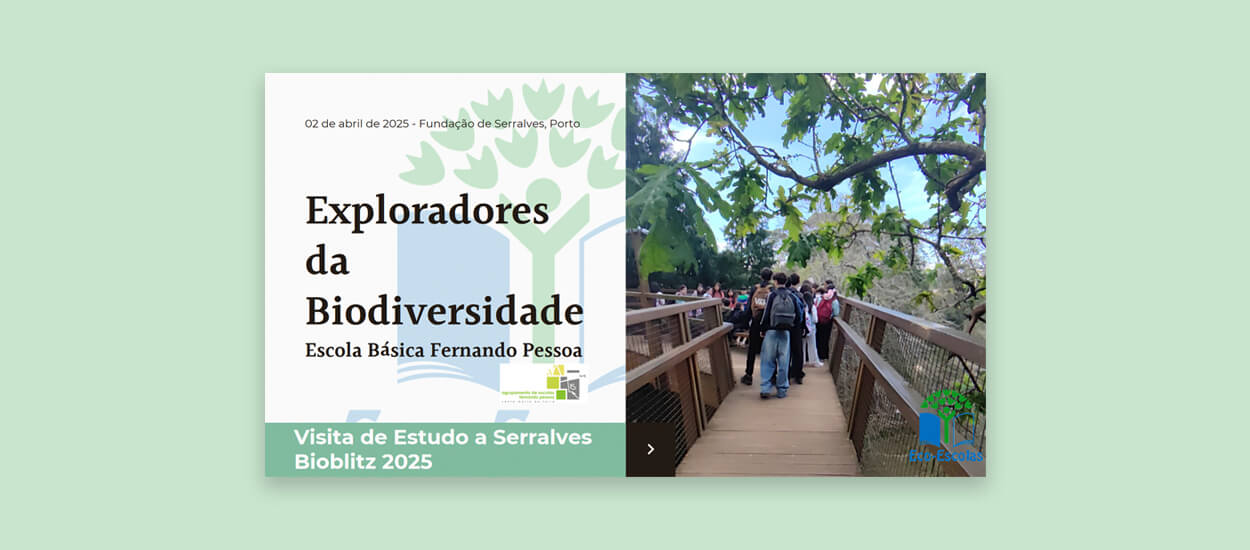 Exploradores da Biodiversidade - Bioblitz 2025 em Serralves