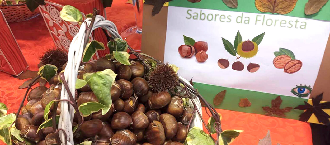 Comemoração do Dia de S. Martinho