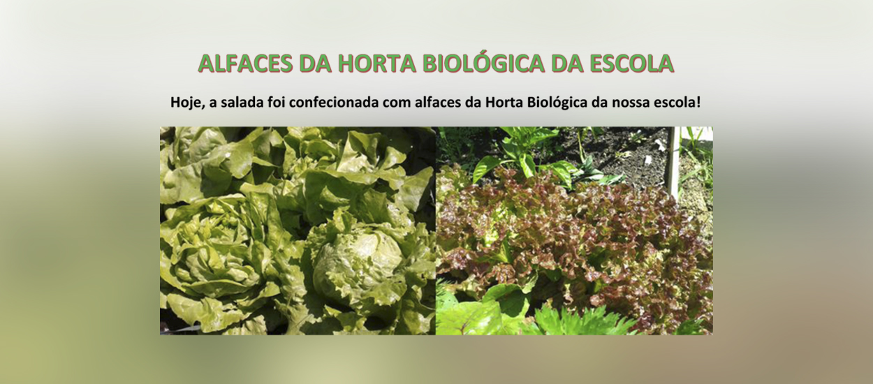 Horta Biológica