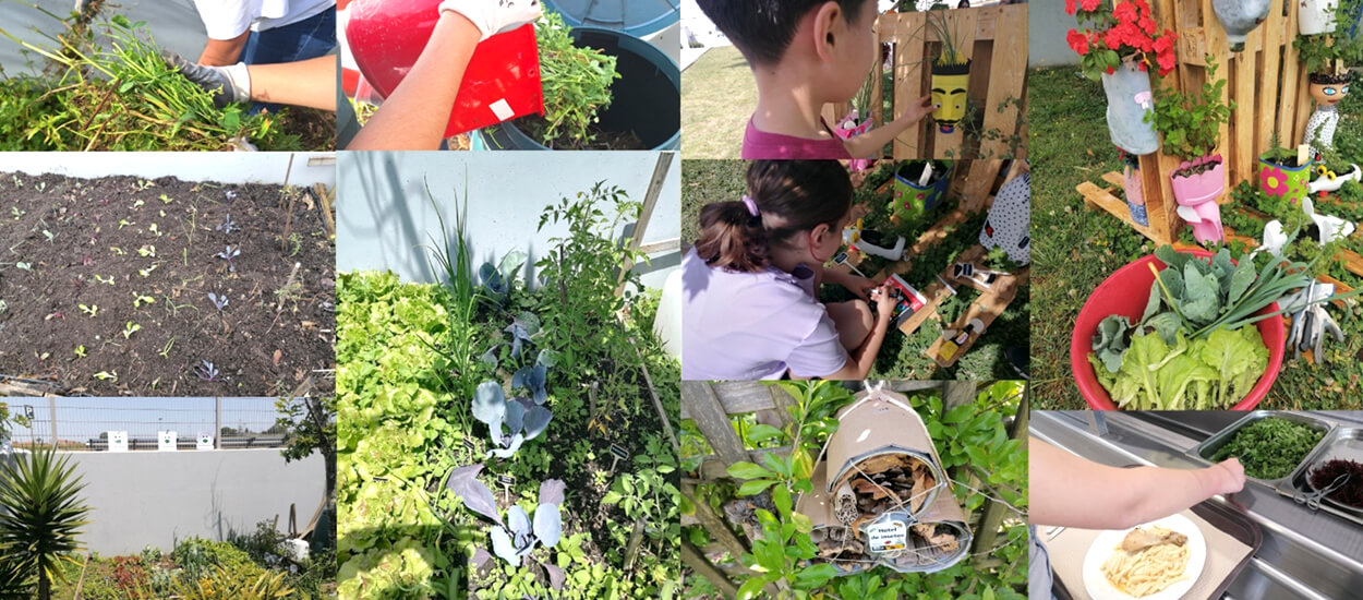Horta Bio no âmbito do Projeto Eco-Escolas