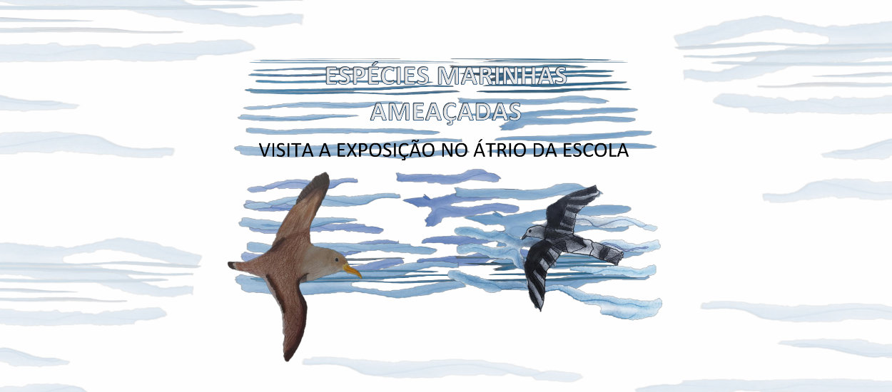 Exposição 
